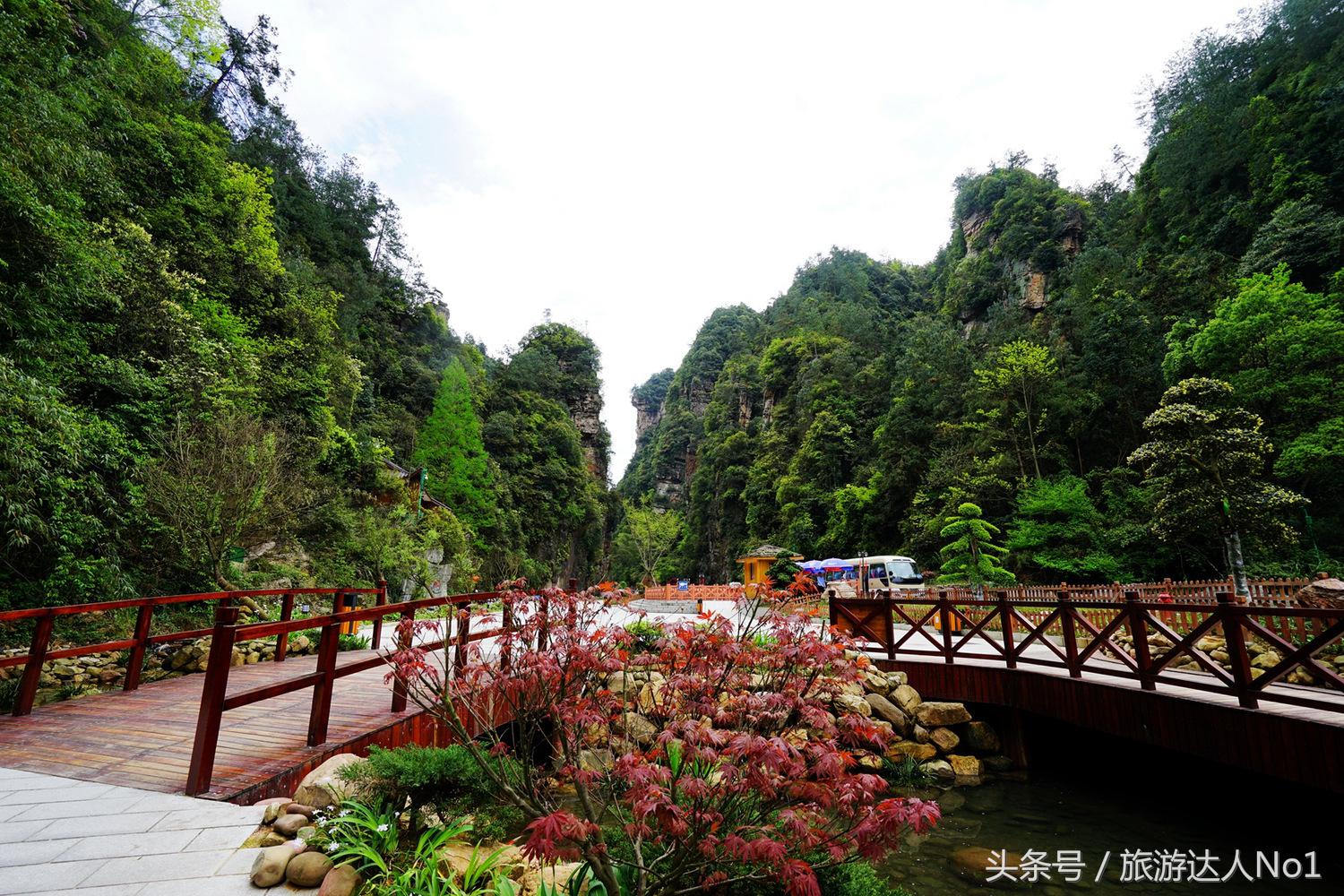 游记张家界8天旅游详细攻略,张家界天门山森林公园美景游记