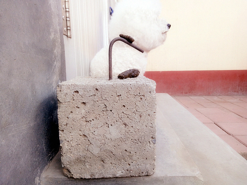 当我抬脚正要进屋时，目光突然被脚下一块顶门砖吸引了！