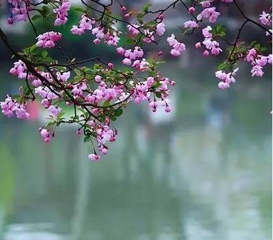 这份成语分类大全替孩子存下吧,成语分类积累整理大全