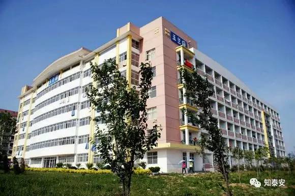 知*安泰**：*安泰**各所大学大PK