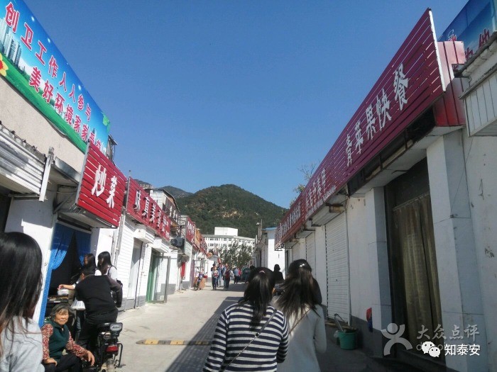 知*安泰**：*安泰**各所大学大PK