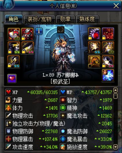 dnf极武圣95加点,dnf极武圣100级