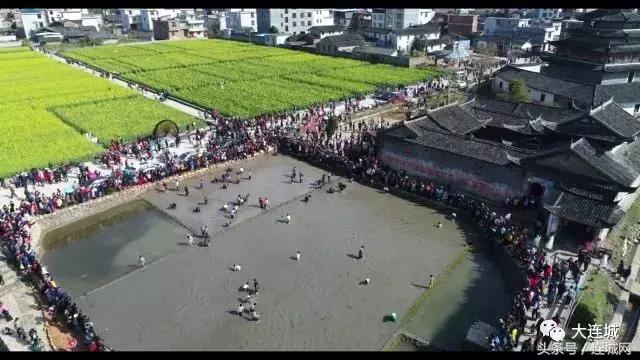 二月二龙抬头打篮球,二月二龙抬头打麻将