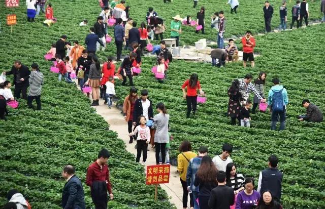 泸州生活指南,生活指南全部