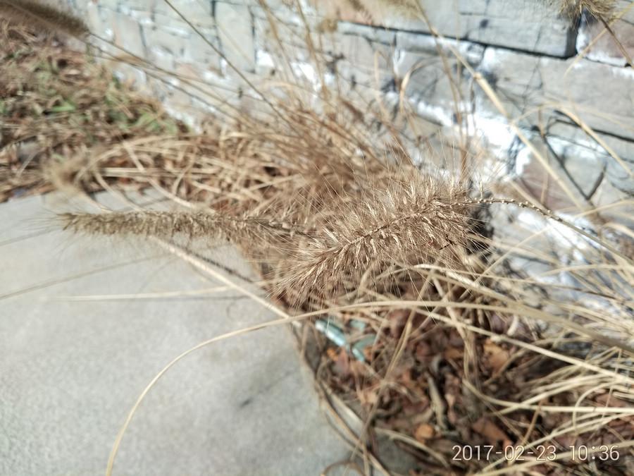 360手机N5配置怎么样,360手机n5值得买吗