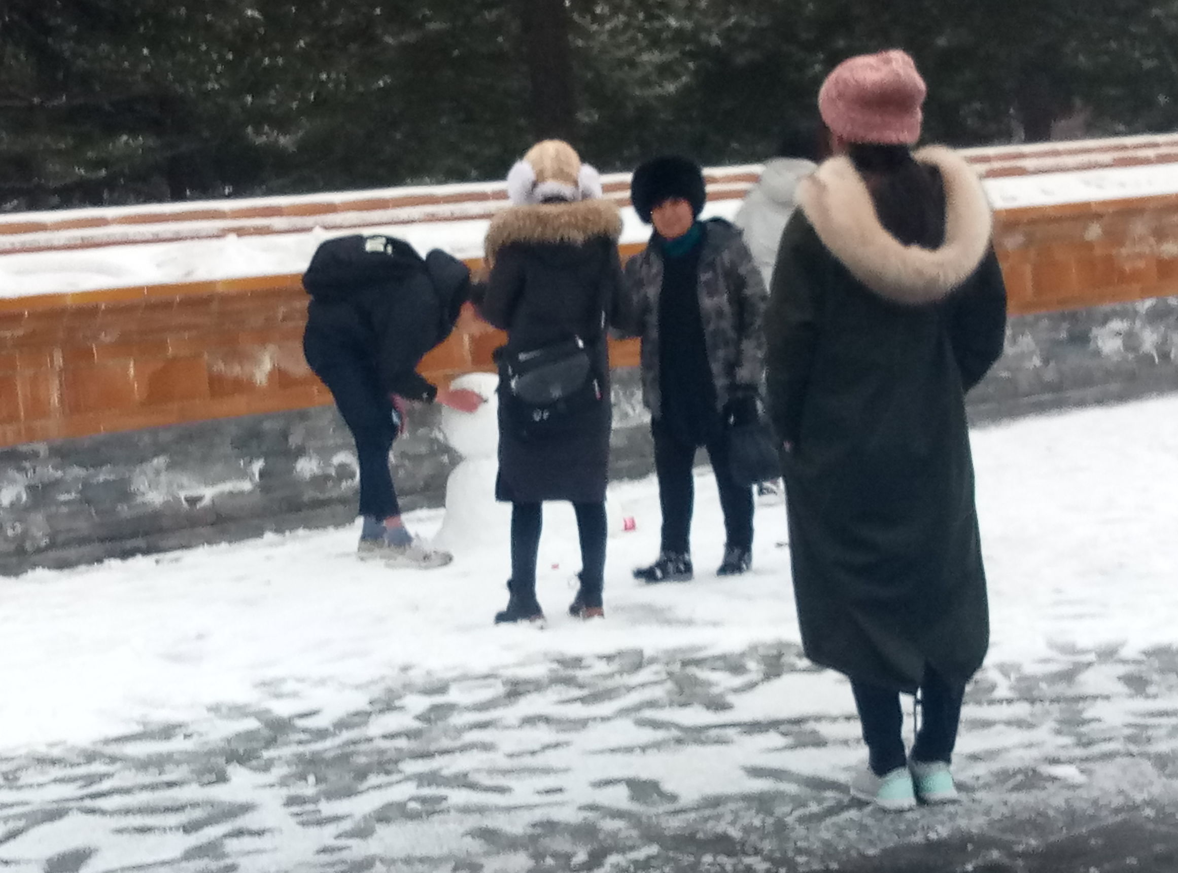 中山公园雪后图片,晚上的中山公园真是美极了