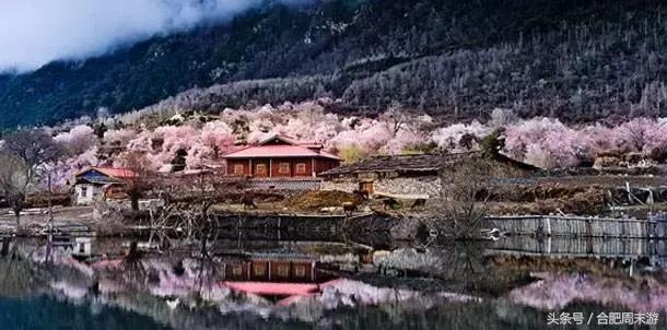 坐火车便宜旅游的国家,坐火车就能出国旅游的攻略