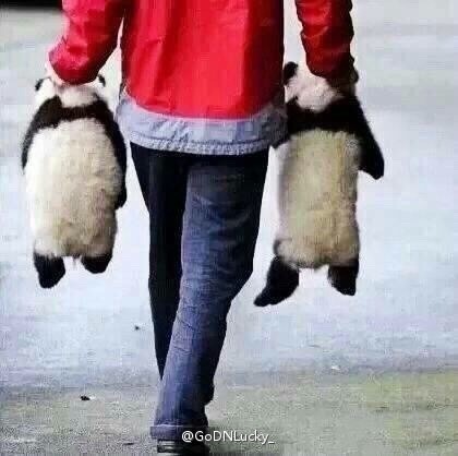 中国十大最火的外国网红,抖音百万网红姐弟抱大腿