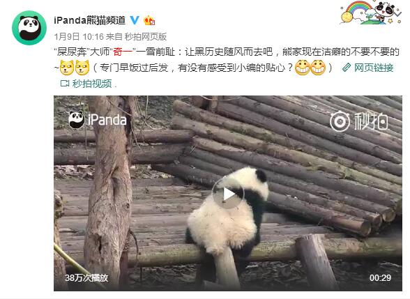 中国十大最火的外国网红,抖音百万网红姐弟抱大腿