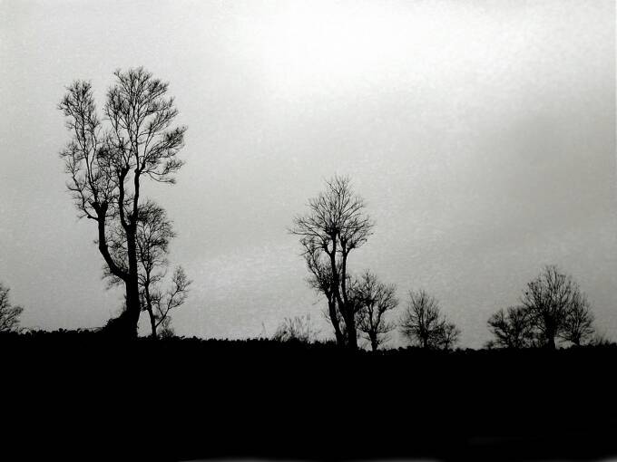 茶马古道丽水金沙,盐茶古道日照