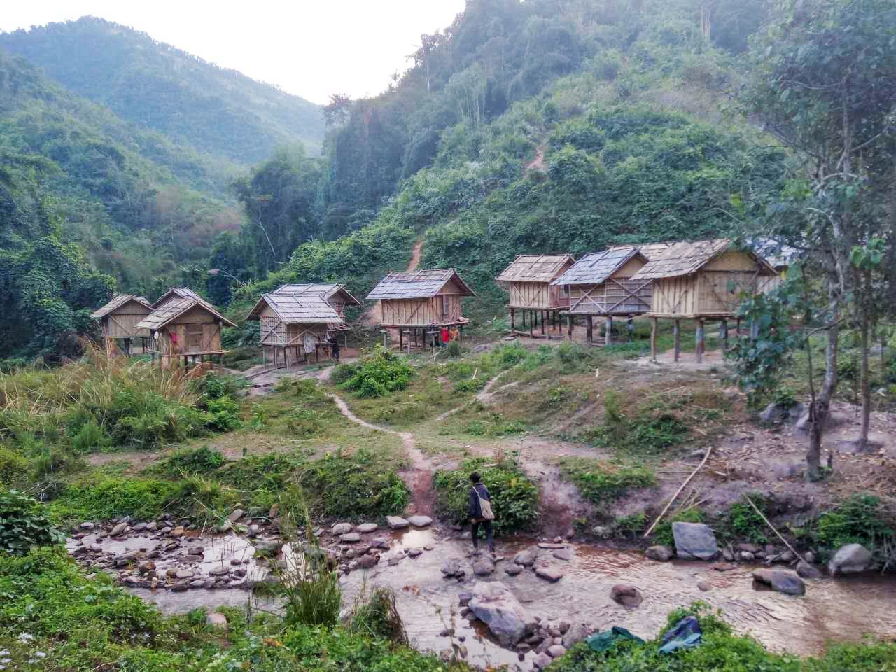 老挝街边的野生蜂蜜,老挝原始森林中纯天然野生蜂蜜