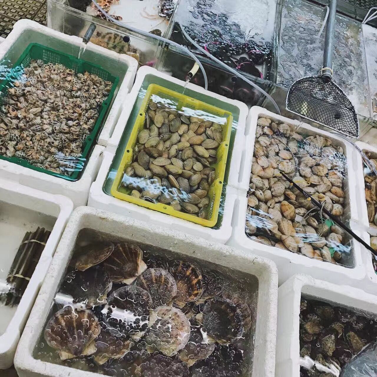 香港的一个小岛长洲岛,麦兜的故乡香港长洲岛