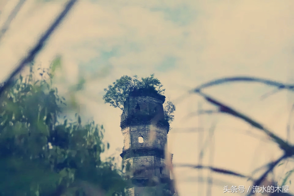 德兴黄柏最新消息,德兴黄柏火灾新闻