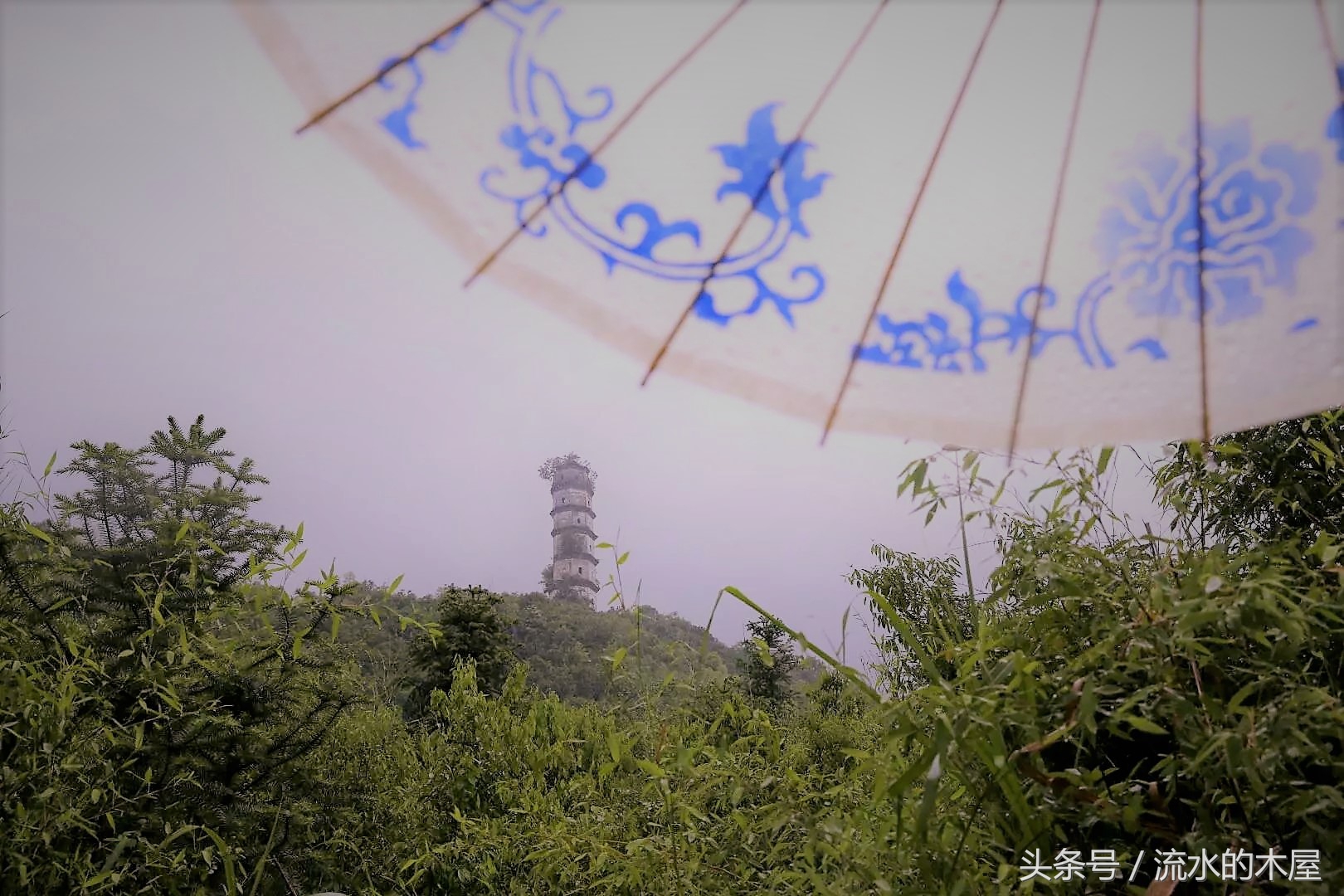 德兴黄柏最新消息,德兴黄柏火灾新闻