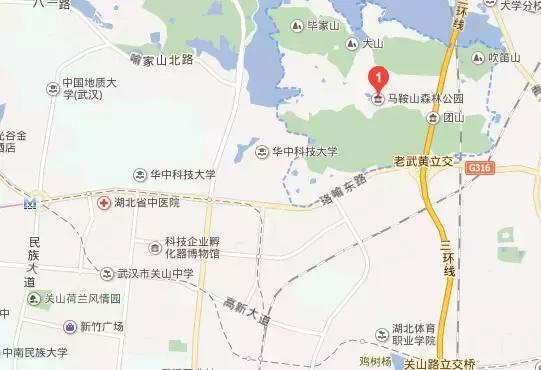 武汉野炊地点推荐,武汉周边烧烤野炊好去处