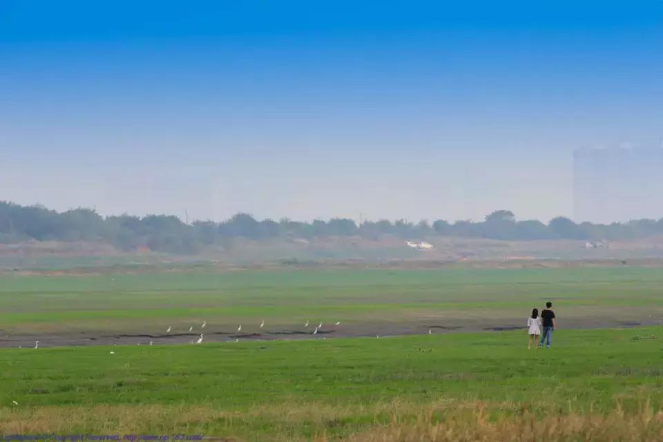 武汉野炊地点推荐,武汉周边烧烤野炊好去处