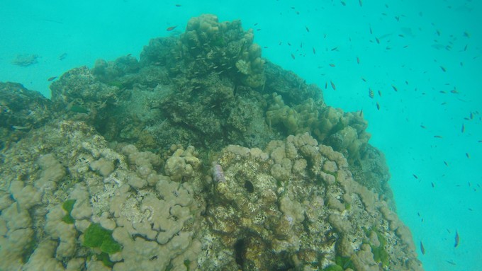 泰国普吉苏梅甲米旅游攻略,泰国游普吉甲米岛六天五晚的报价