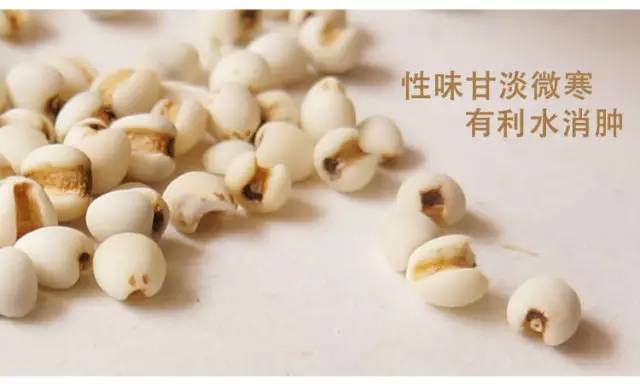 湿气改善指南,春季房间湿气太重怎么除湿