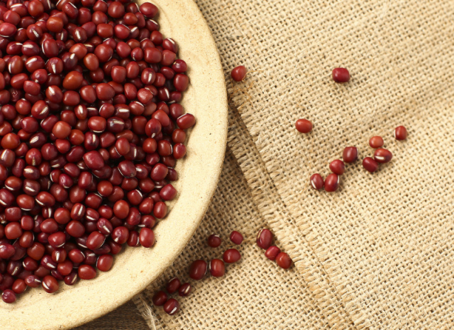 湿气改善指南,春季房间湿气太重怎么除湿