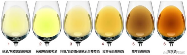 白葡萄酒是白色的吗能喝吗,白葡萄酒为什么是白色
