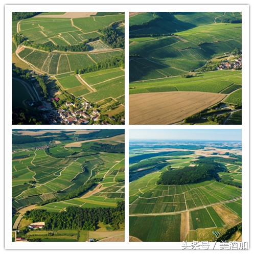 白葡萄酒是白色的吗能喝吗,白葡萄酒为什么是白色