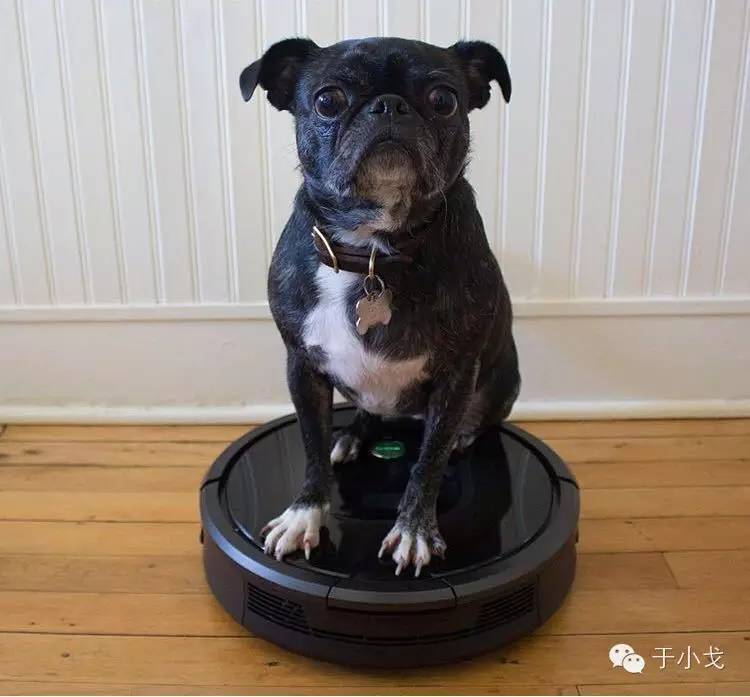 过年给公婆买什么礼物合适,过年应该给爸妈公婆买什么礼物