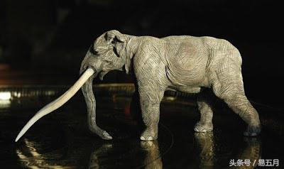 史前象科:大家伙们成为了早期人类的肉类仓库