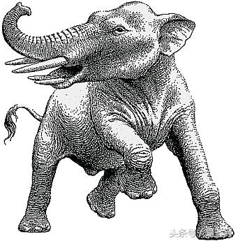 史前象科:大家伙们成为了早期人类的肉类仓库