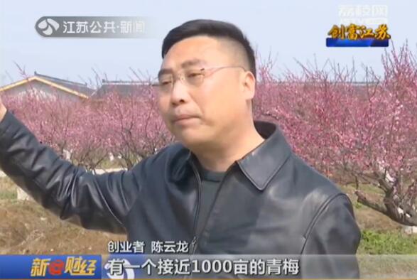 创富江苏：“梅”好生活创出来
