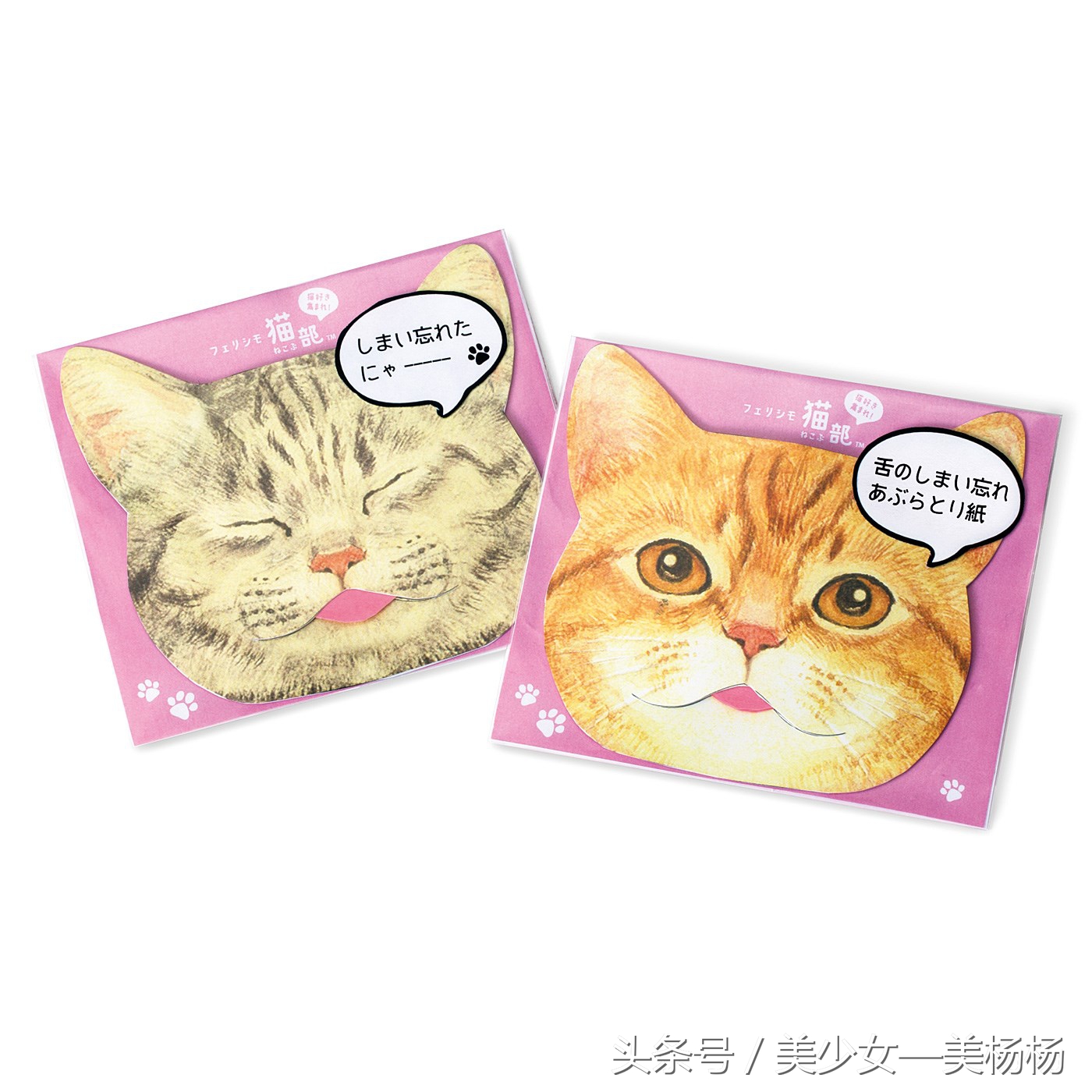 你们都是美杨杨爱的喵！萌到众生的猫咪系美妆品，喵星人驾到！