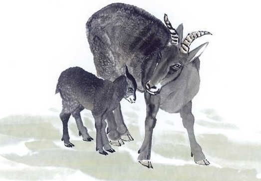 91年属羊女2023年的运势和婚姻,67年属羊人2023年财运如何