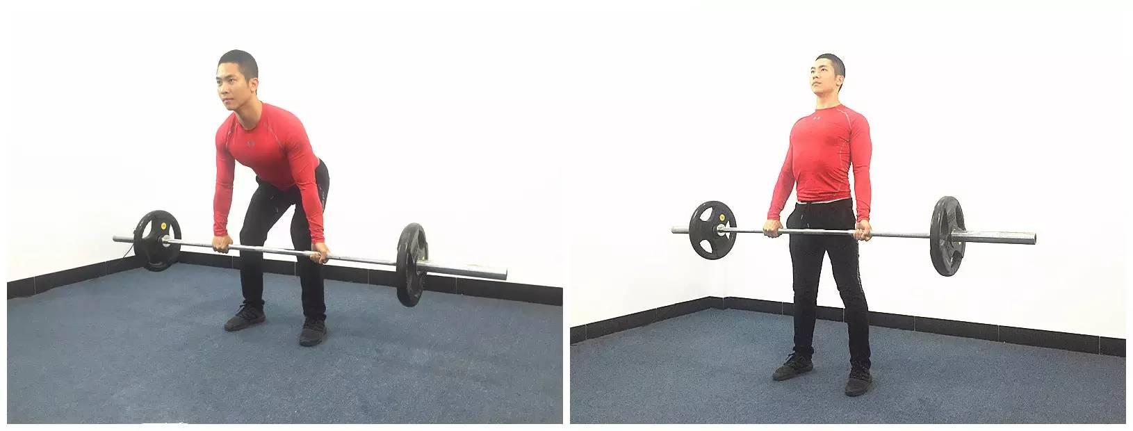 5x5训练法起源,新手可以用5x5训练法吗