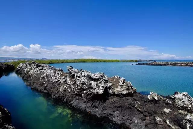 这才是旅行的样子，从亚洲至南美洲，他比我们多了点勇气和决心
