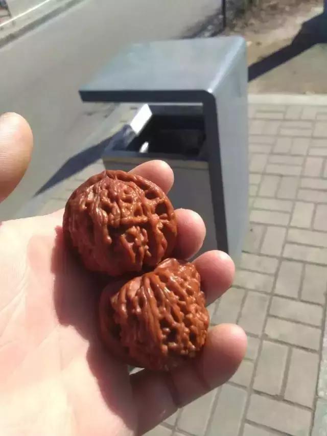 文玩人一定要合理搭配自己的时间