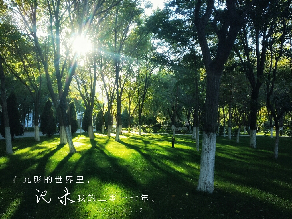 黄油相机来点灵感功能,黄油相机效果