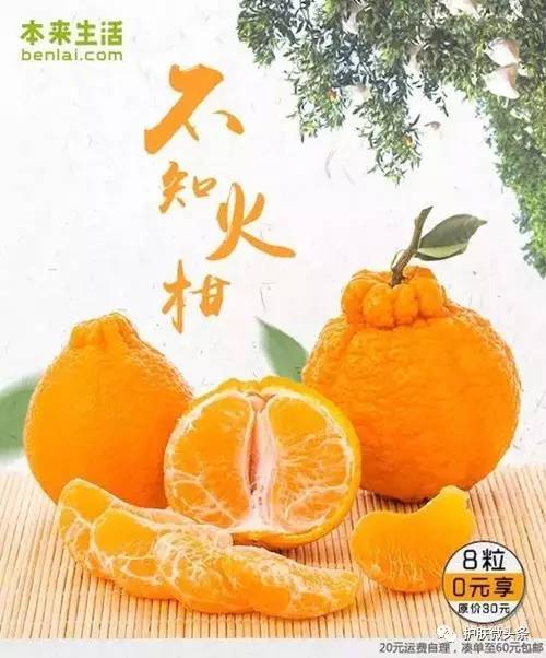 长痘痘就不能吃糖,长痘痘是不是不能吃补品