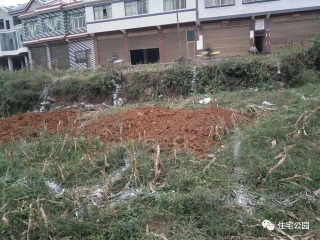 看别人在土里做房子,看别人在野外建房子