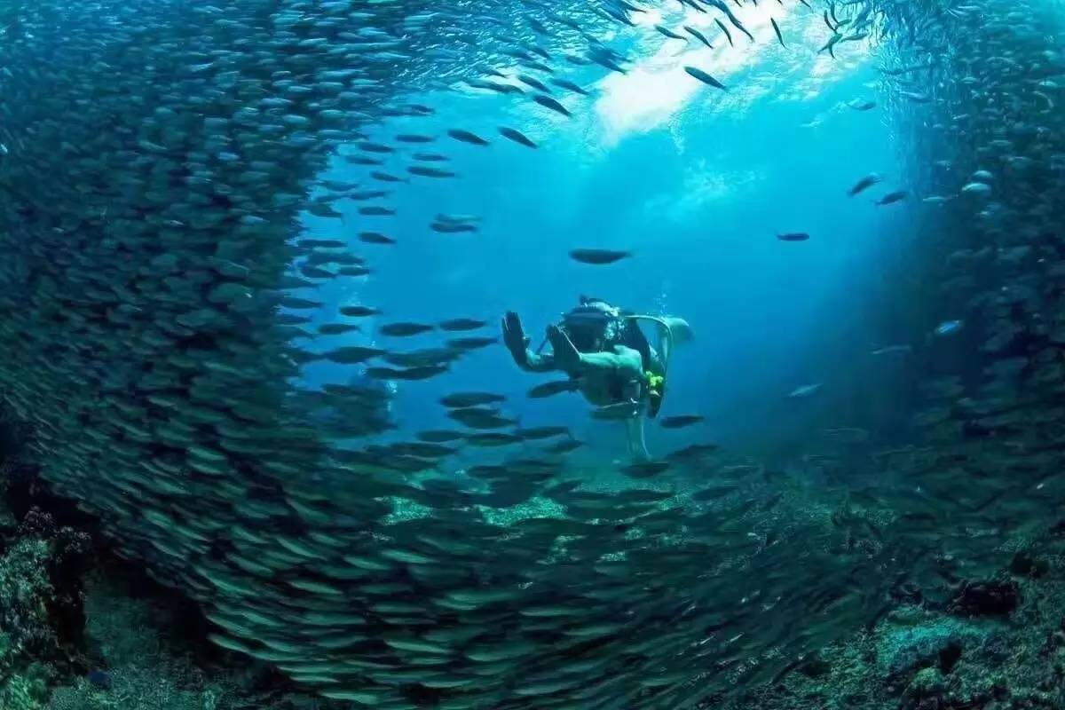 宿雾必去景点,亚洲最美云海