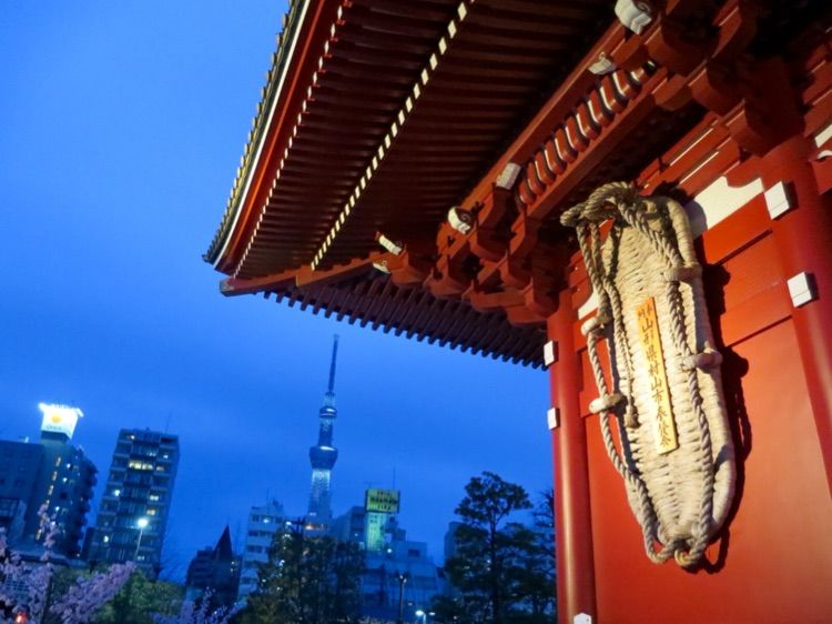 旅行是孤独的人在寻找的方式,旅行是我一辈子都愿意做的事