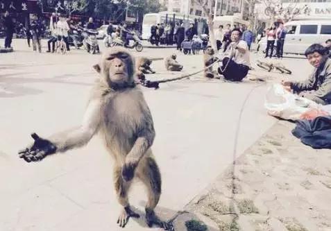 不给小费被打,入境不给小费被刁难该怎么办