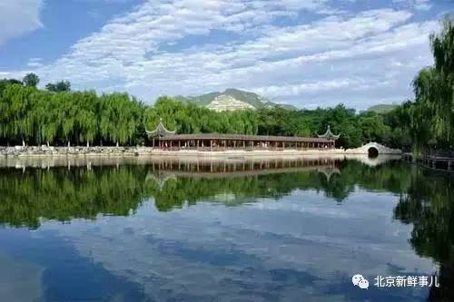 北京植物园踏青赏花,踏青赏花北京