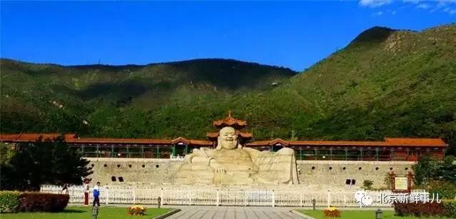 北京植物园踏青赏花,踏青赏花北京