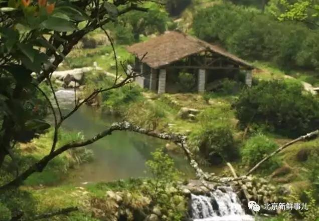 北京植物园踏青赏花,踏青赏花北京