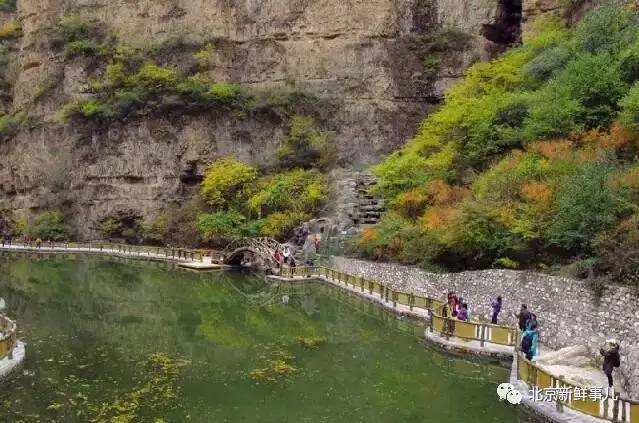 北京植物园踏青赏花,踏青赏花北京
