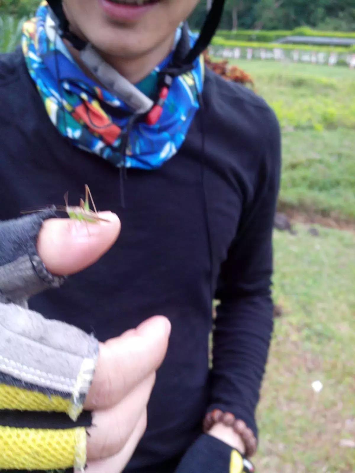 海南环岛自由行攻略最详细,海南环岛骑车多少公里