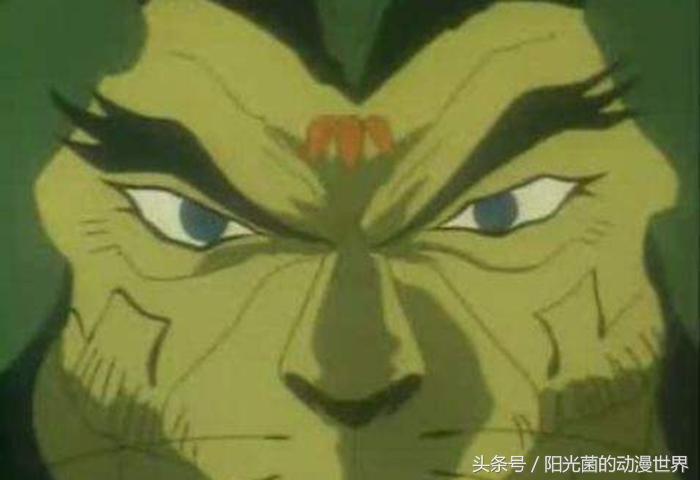 神龙斗士的全名,神龙斗士都有什么号