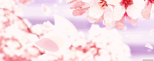 星巴克樱花系列杯子2022,樱花礼盒星巴克