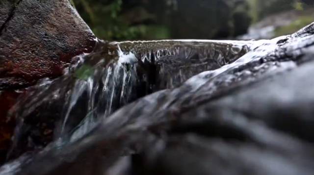 80后老师辞职回乡创业,80后教师辞职卖肉夹馍