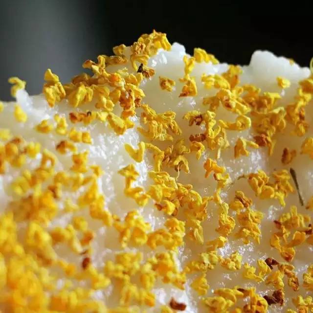 80后老师辞职回乡创业,80后教师辞职卖肉夹馍