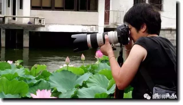 相机属于“老年人”？Lensvid摄影市场数据图有感而发